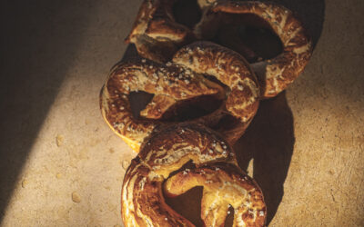 Bretzel végétal